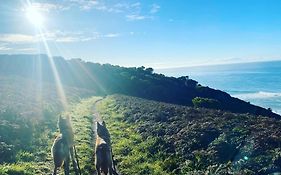 Great Ocean Road Wellness And Nature Stay